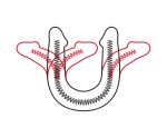 947100 Сдвоенный FLEX & FIX SISTEM в ламинате